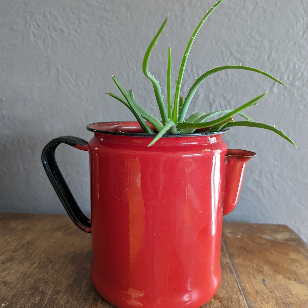 🌶️ red vintage enamelware coffee pot 🌶️
